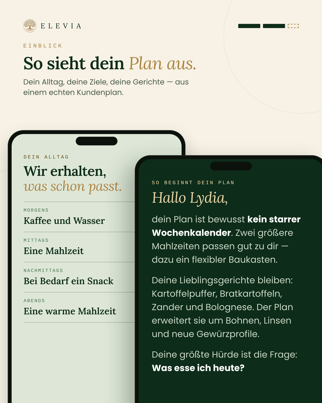 Dein persönliches Ernährungsprogramm