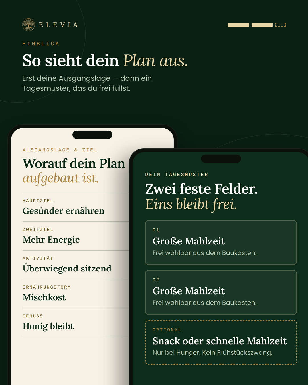 Dein persönliches Ernährungsprogramm